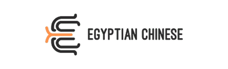 الرئيسية – شركة بن سالم لتصميم المواقع والمتاجر الإلكترونية 23 egyption-chinease.webp